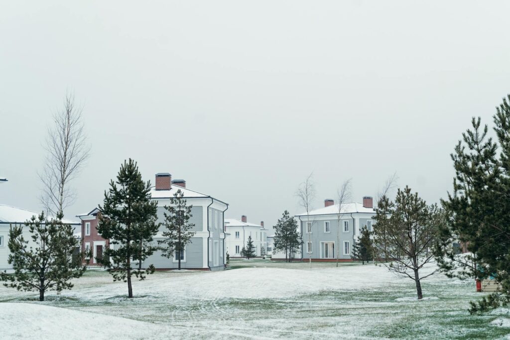 winter home watch
