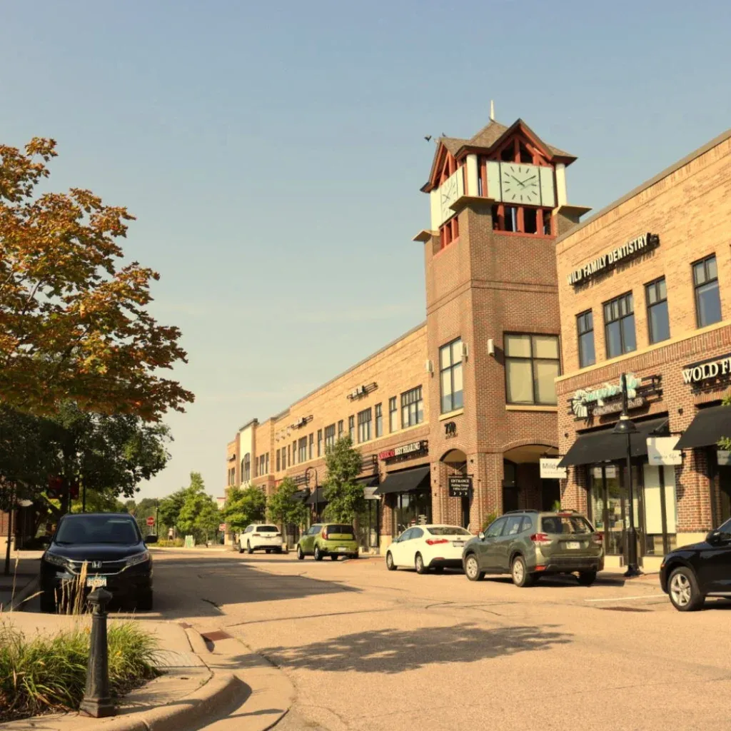 handyman-in-Mendota Heights