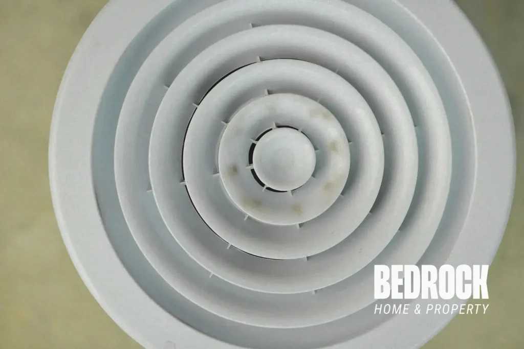 Handyman Bathroom Fan Replacement in Hastings