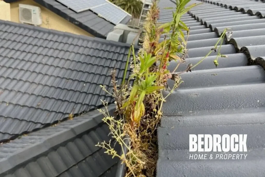 Handyman Gutter Cleaning in Hastings