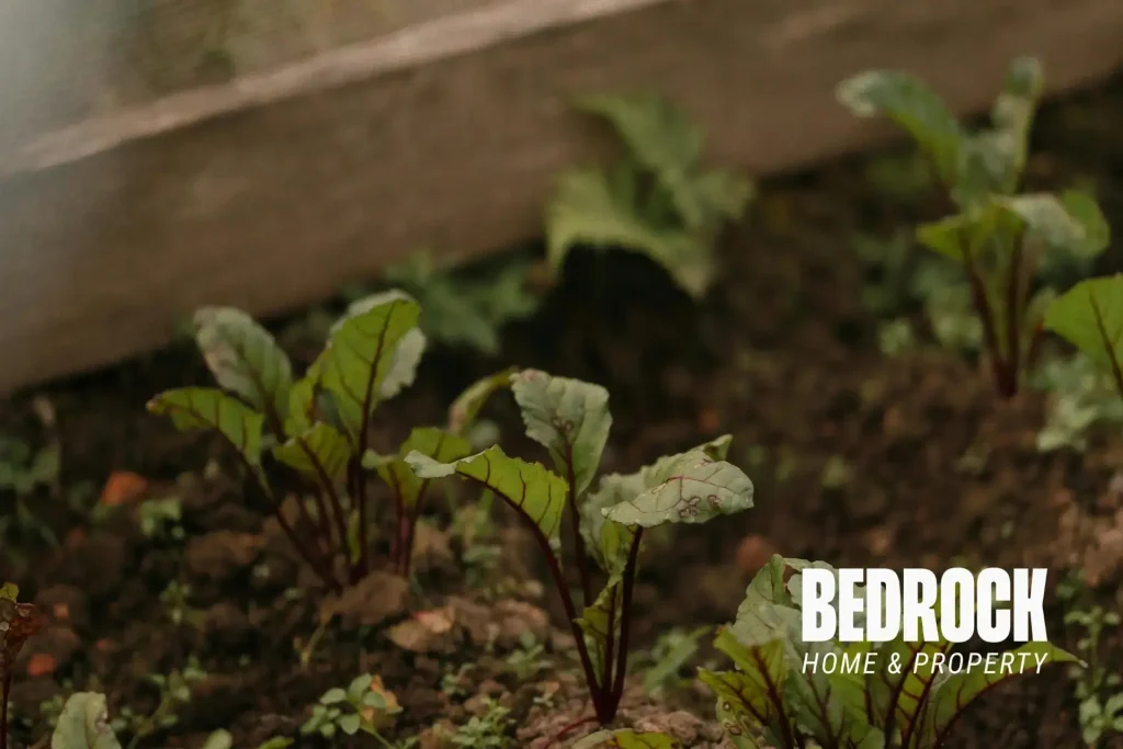 Handyman Raised Garden Bed Installation in Hastings